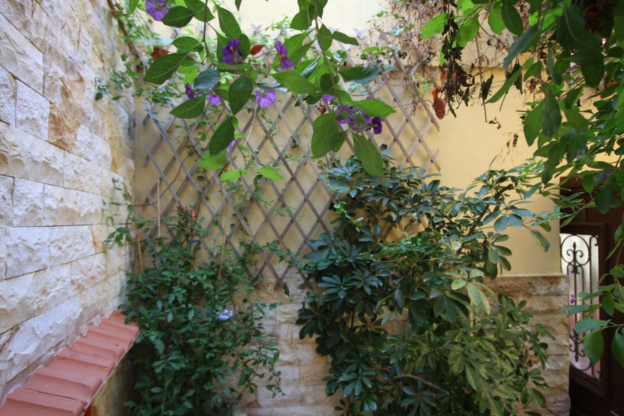 Sofia Pension Rhodes City Bagian luar foto