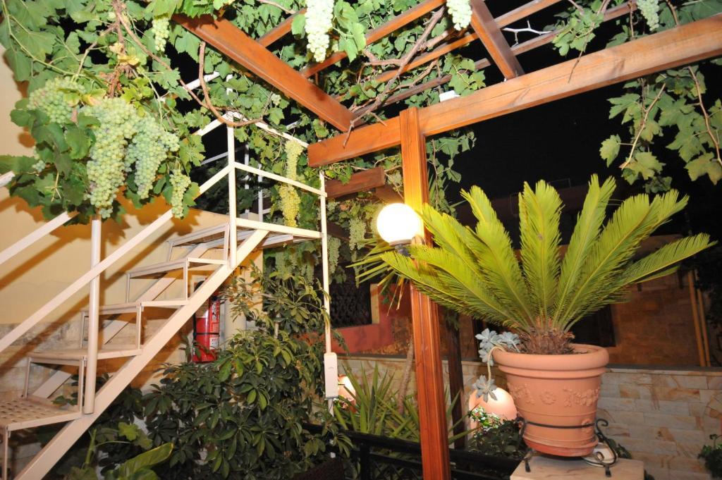 Sofia Pension Rhodes City Bagian luar foto