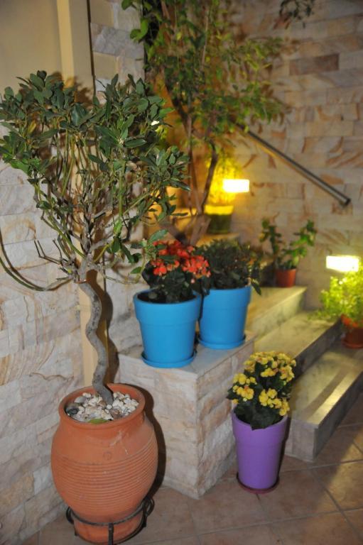 Sofia Pension Rhodes City Bagian luar foto